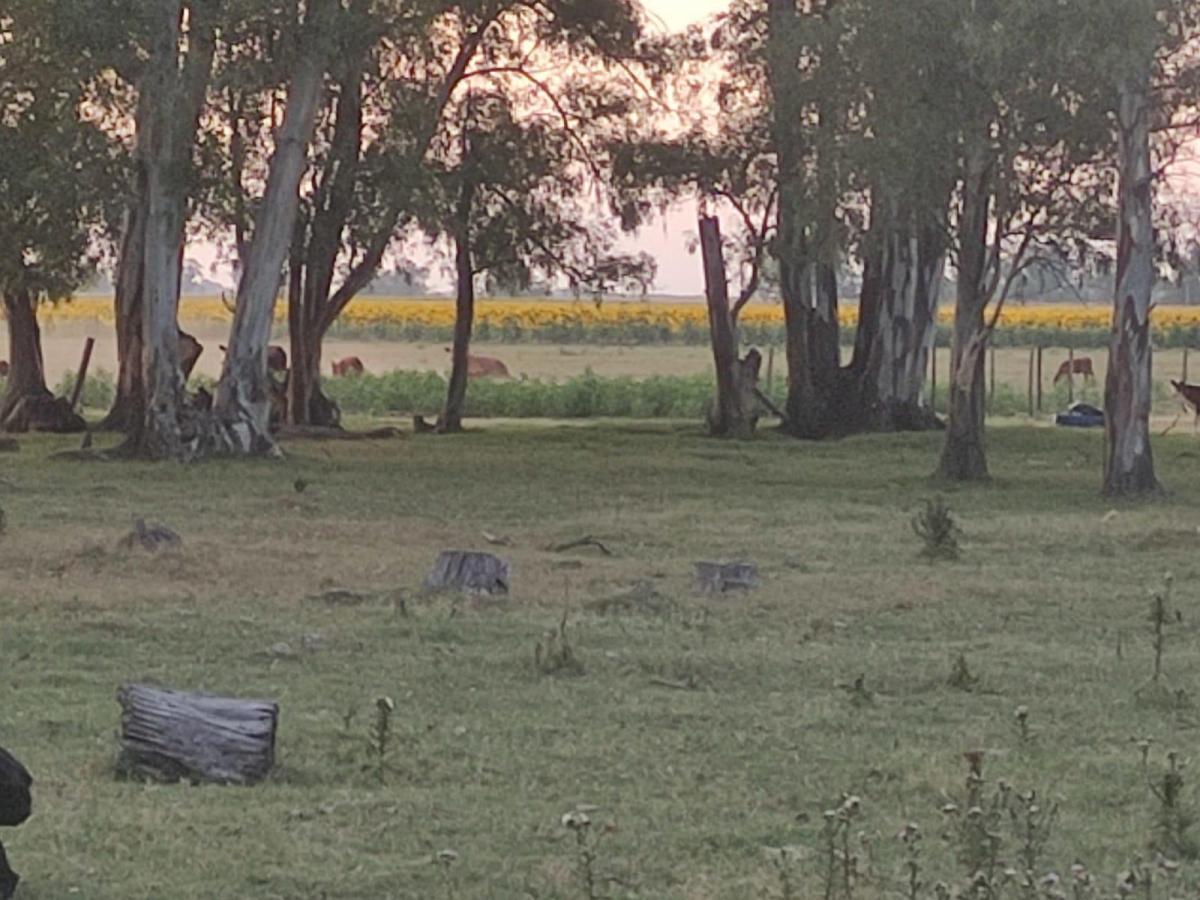 Foto de VENTA CAMPO ROQUE PEREZ- PROVINCIA, imagen 5