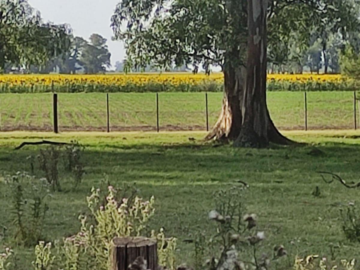 Foto de VENTA CAMPO ROQUE PEREZ- PROVINCIA, imagen 3