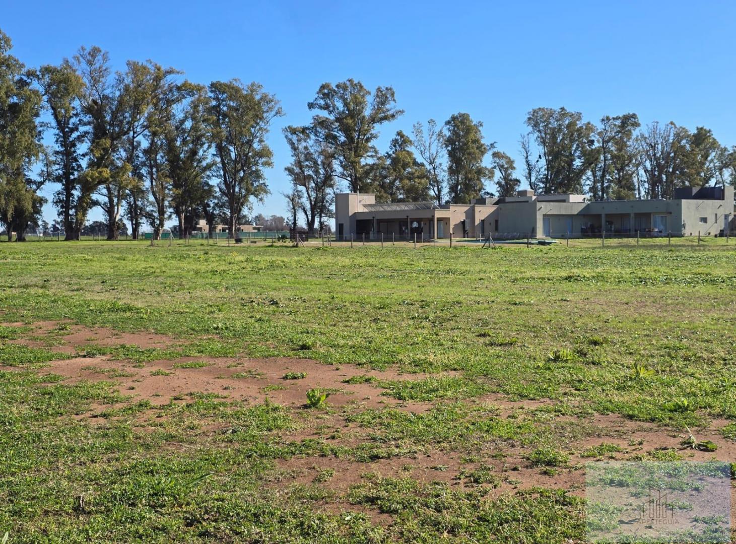 Foto de Terreno 1200 mts 2 en Los Tres Pinos - EL ESTRIBO - GRAL RODRIGUEZ, imagen 3