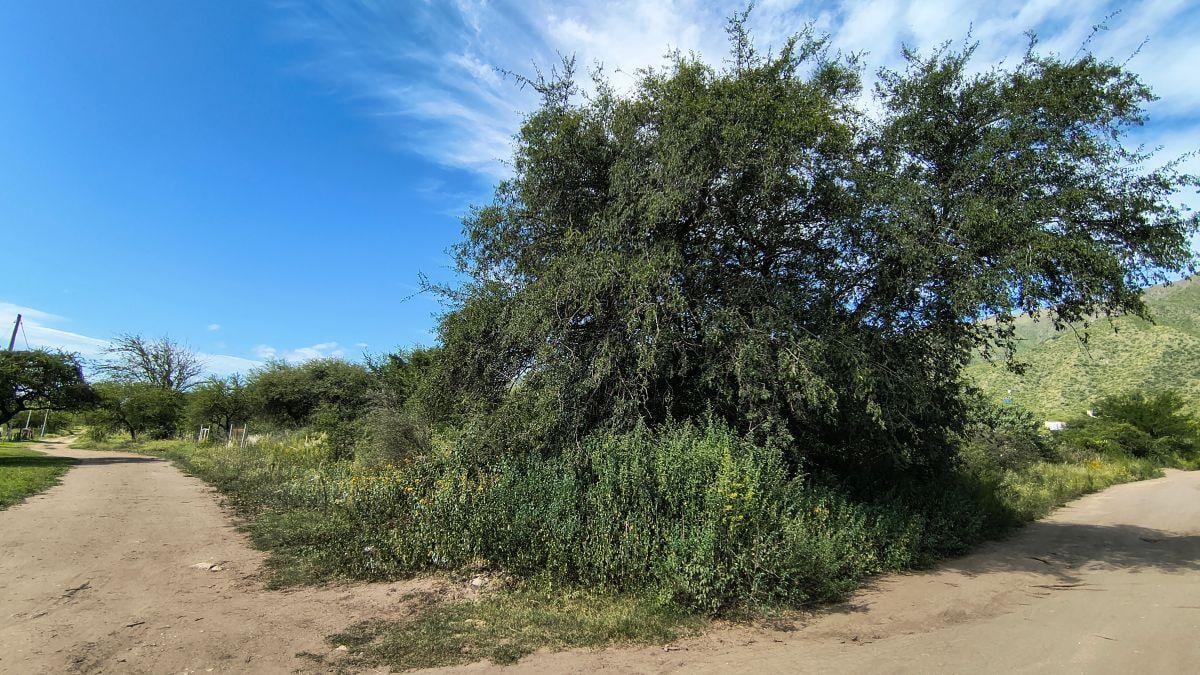 Terreno de 380 m2 en venta, San José Obrero