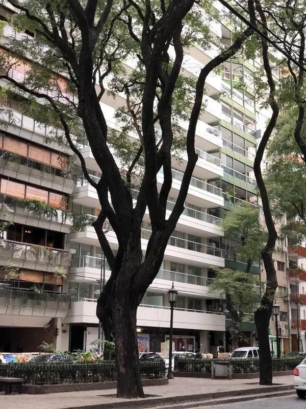 Departamento en Las Cañitas, 3 amb. contrafrente SIN cochera 2