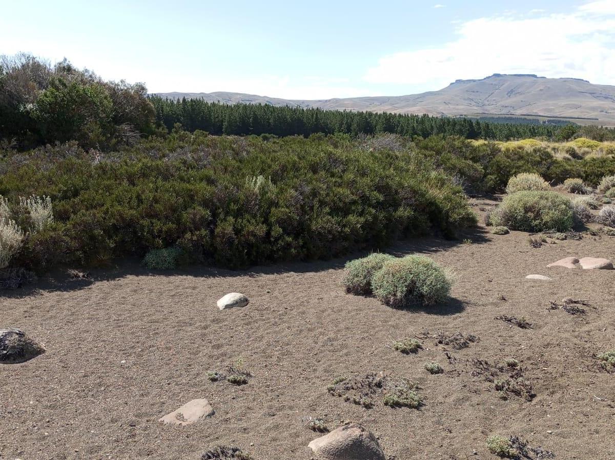 Terrenos Sobre El Río Chimehuin 2