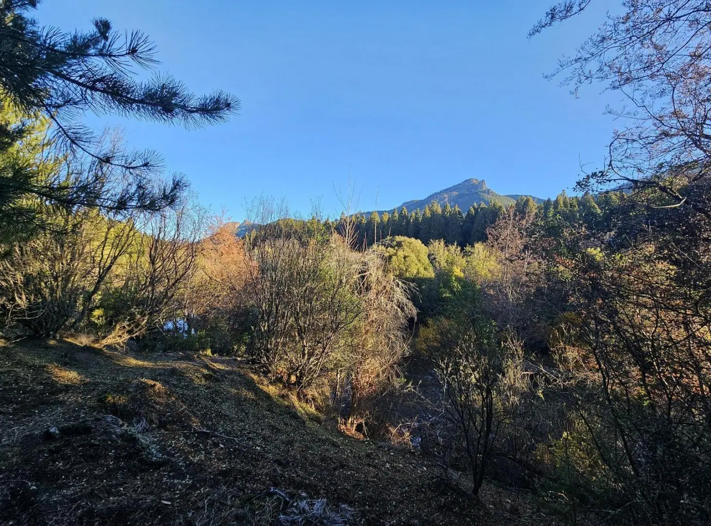 Fracción sobre el Río Meliquina 3