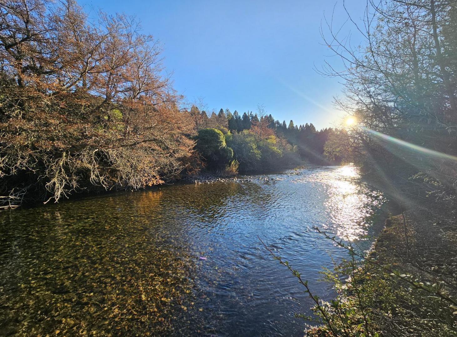 Fracción sobre el Río Meliquina