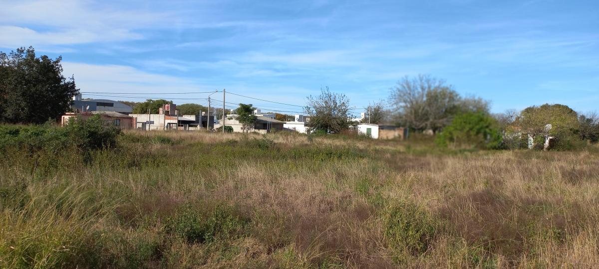 Lotes en Venta Colonia Caroya 791 m² con Escritura 4
