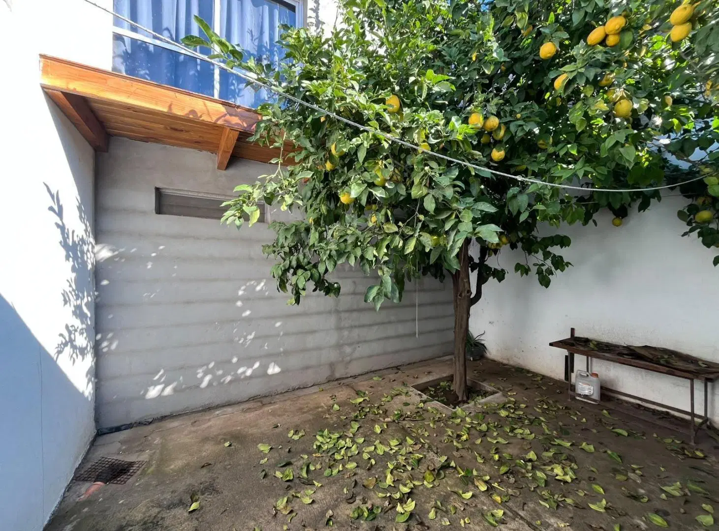 ALQUILO CASA DOS DORMITORIOS CON PEQUEÑO PATIO LAS FLORES 4