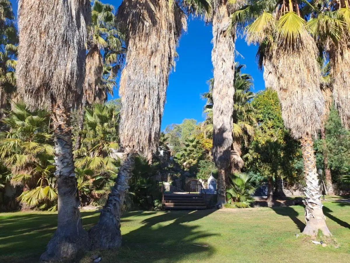 Oasis productivo en Lunlunta, Perdriel, Luján de Cuyo 1