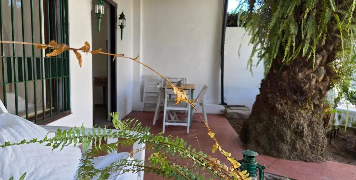 Casa en alquiler, Bella Vista 5