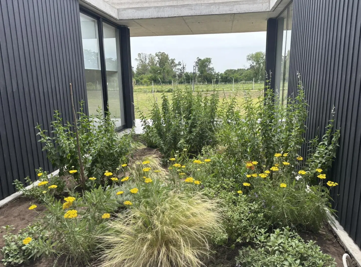 Terreno en venta en Village Joven, Bella Vista 4