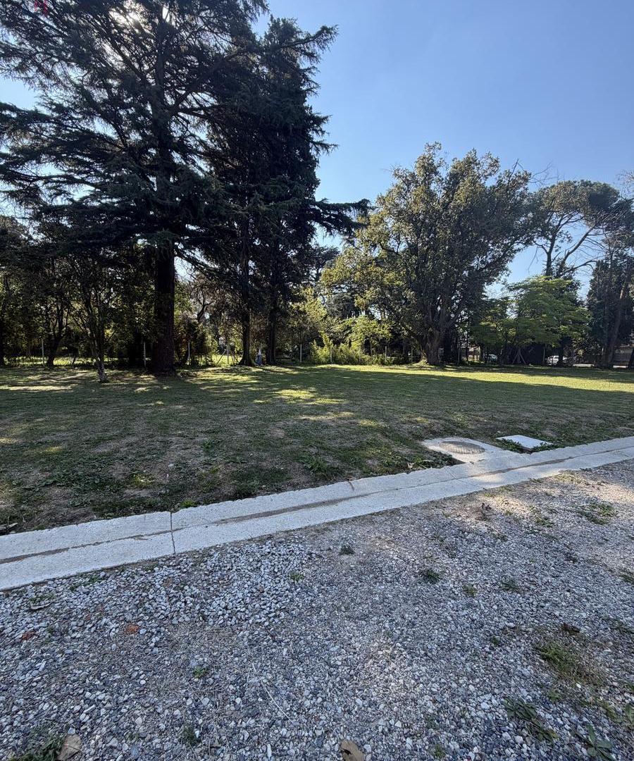 Foto de Terreno en San Miguel, imagen 2
