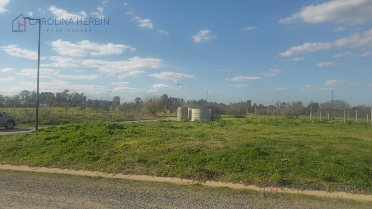 Foto de Terreno en Pueblo Nuevo, imagen 2