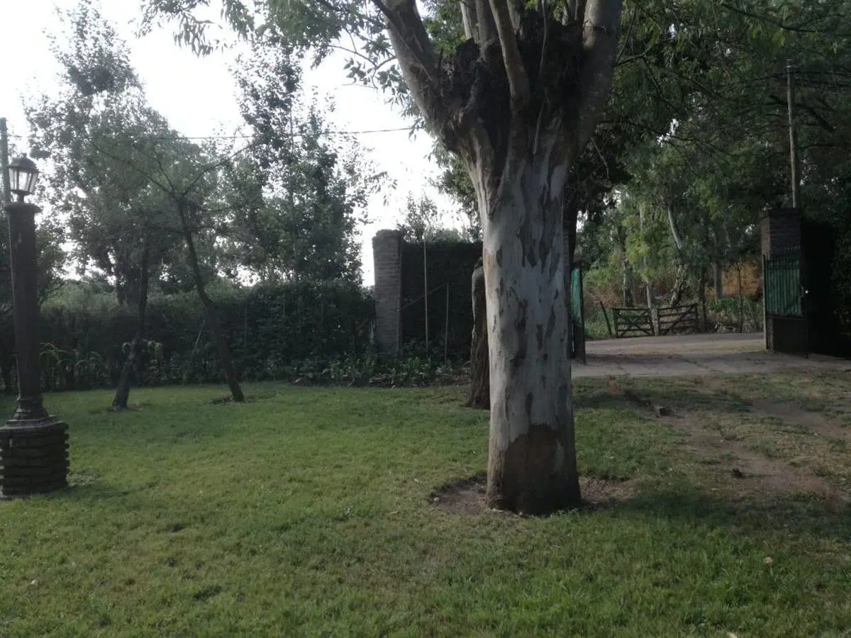 TERRENO VENTA INDUSTRIAL OFICINA FINANCIADO 8