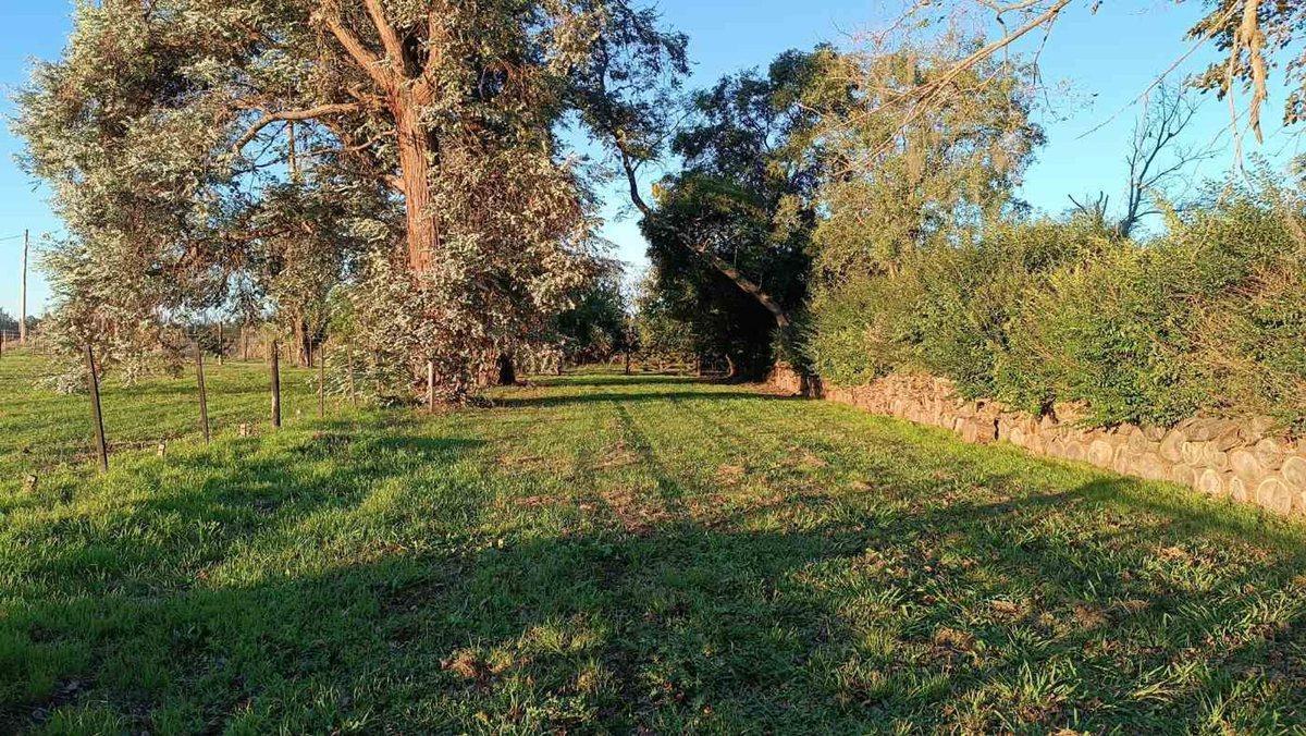 Venta Chacra y Casa 3 ambientes en Carlos Keen