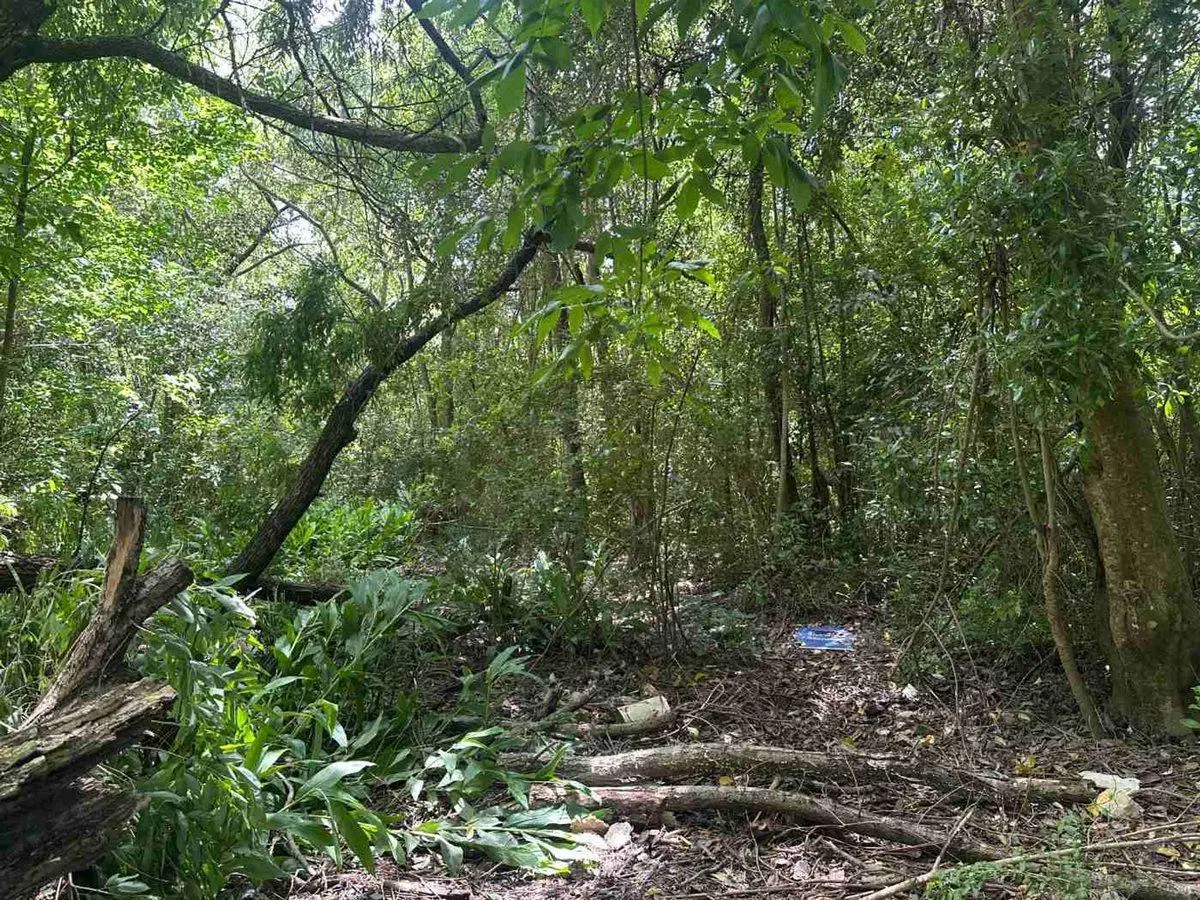 VENTA LOTE C/CASA PARANÁ DE LAS PALMAS FTE. PUERTO 5