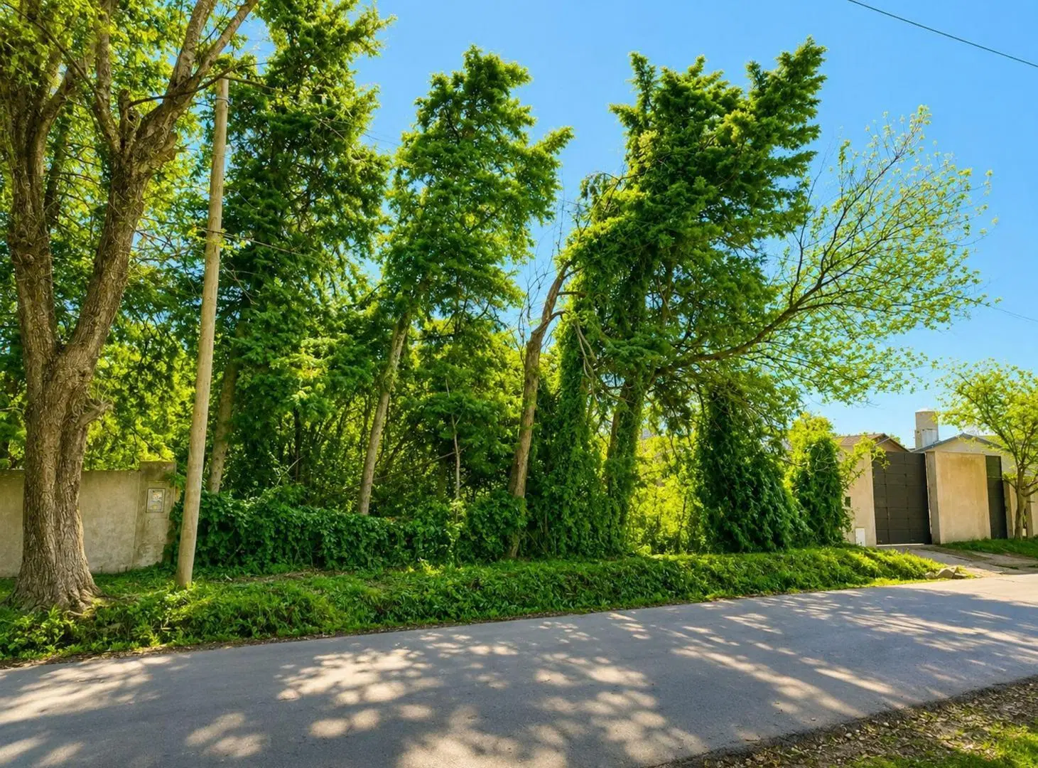 LOTE DE TERRENO EN VENTA - BELÉN DE ESCOBAR 5
