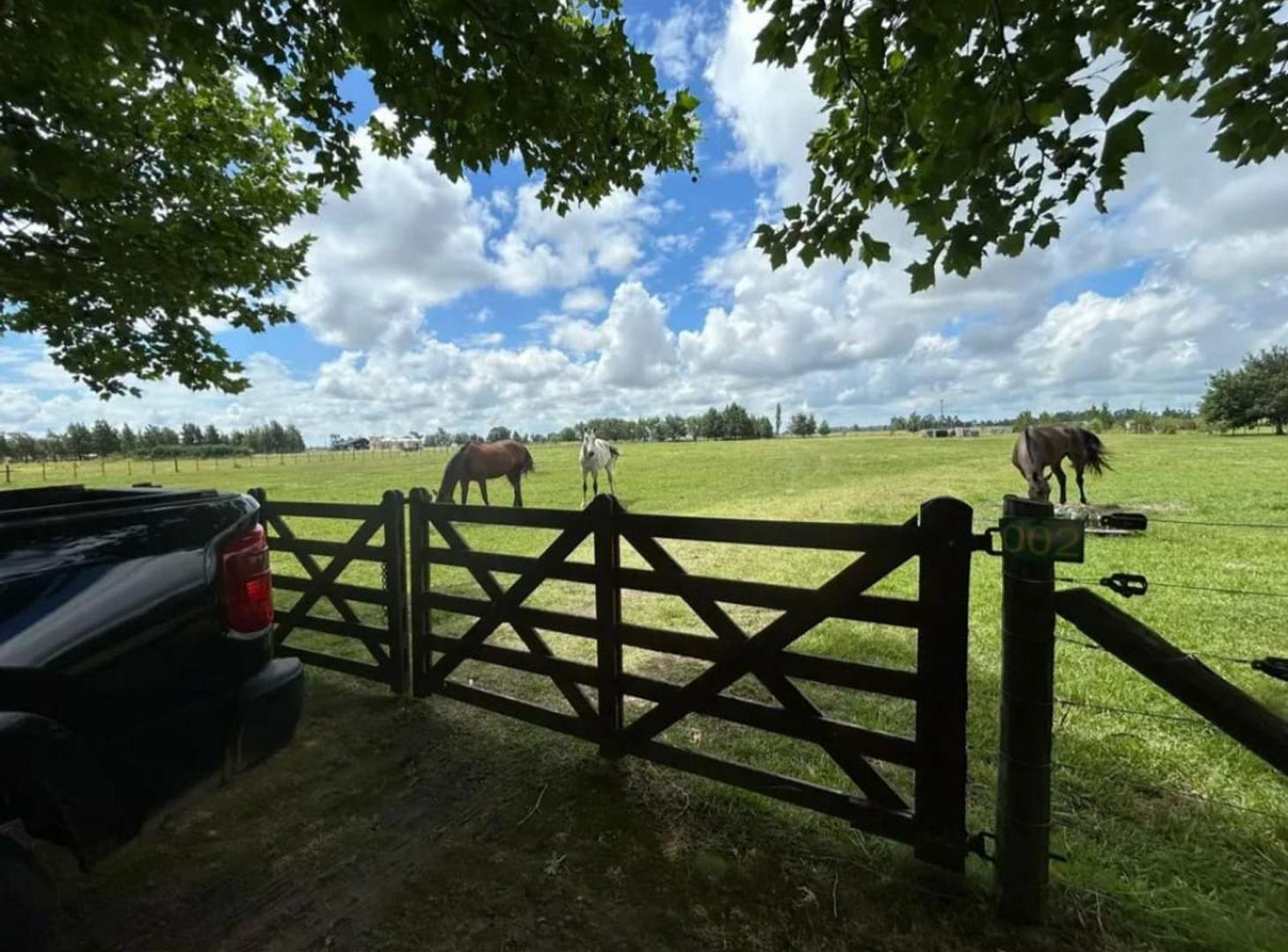 Foto de VENTA LOTE 16000 M2 EN CHACRAS DE ABBOTT, imagen 3