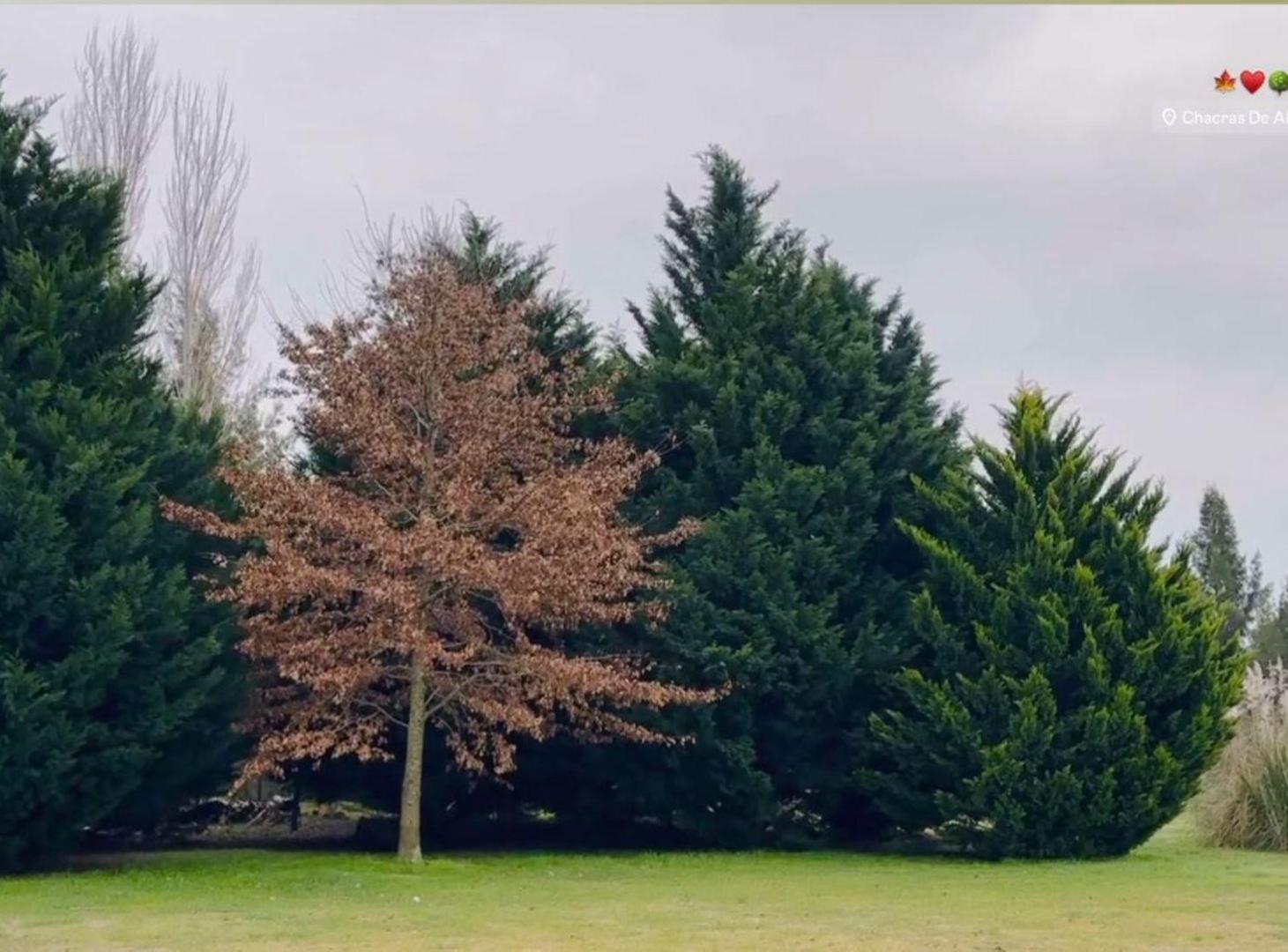 Foto de VENTA LOTE 16000 M2 EN CHACRAS DE ABBOTT, imagen 4