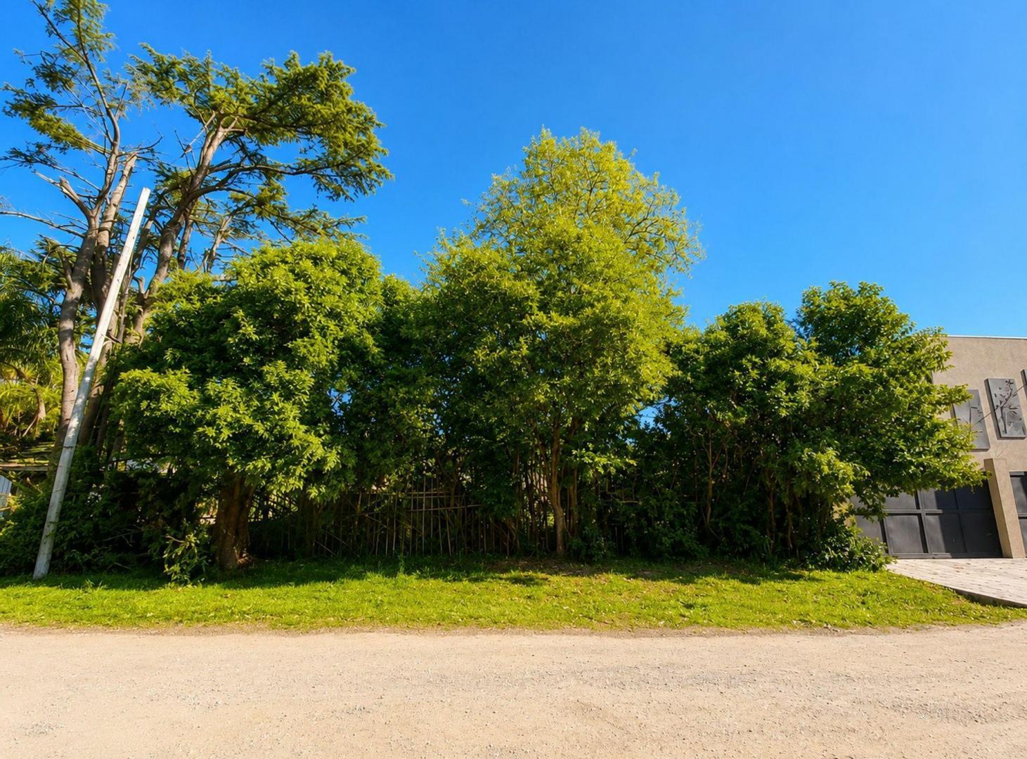 Foto de LOTE DE TERRENO EN VENTA - BELÉN DE ESCOBAR, imagen 2