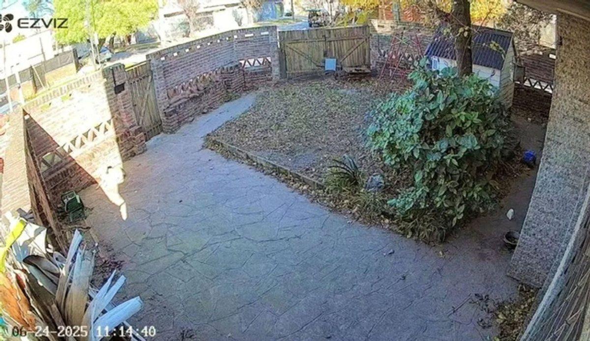 Foto de VENTA CASA 5 AMBIENTES + ANEXO 4 AMB. DON TORCUATO, imagen 1