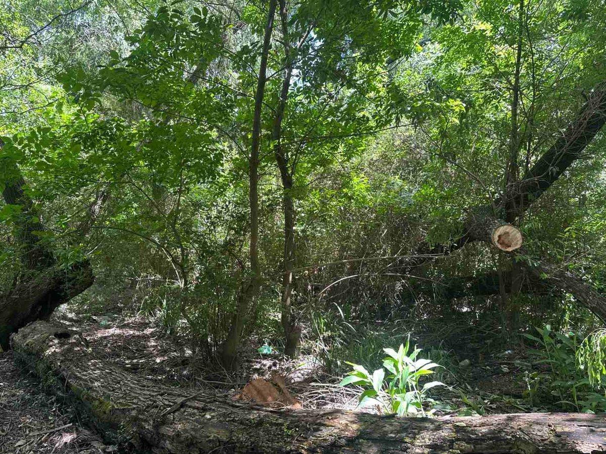 Foto de VENTA LOTE C/CASA PARANÁ DE LAS PALMAS FTE. PUERTO, imagen 3
