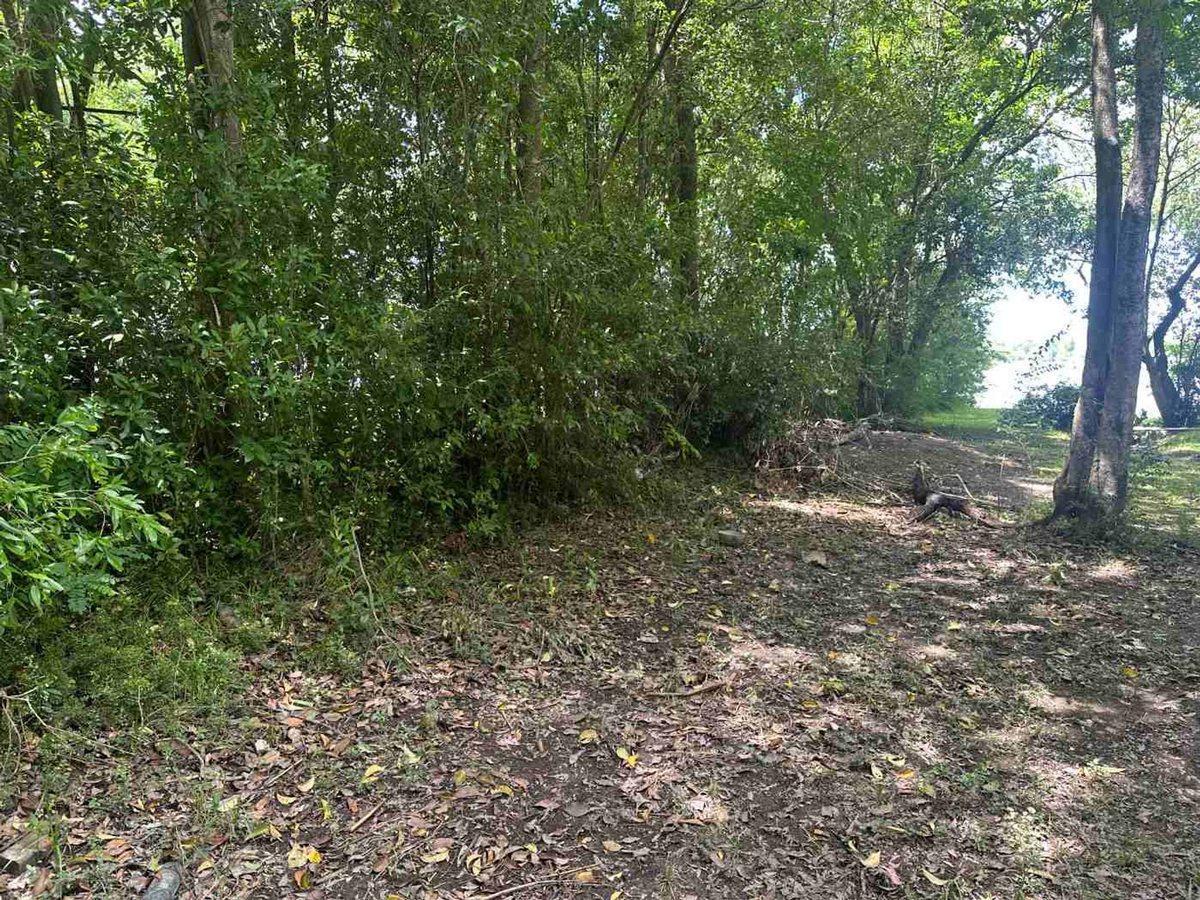 Foto de VENTA LOTE C/CASA PARANÁ DE LAS PALMAS FTE. PUERTO, imagen 5