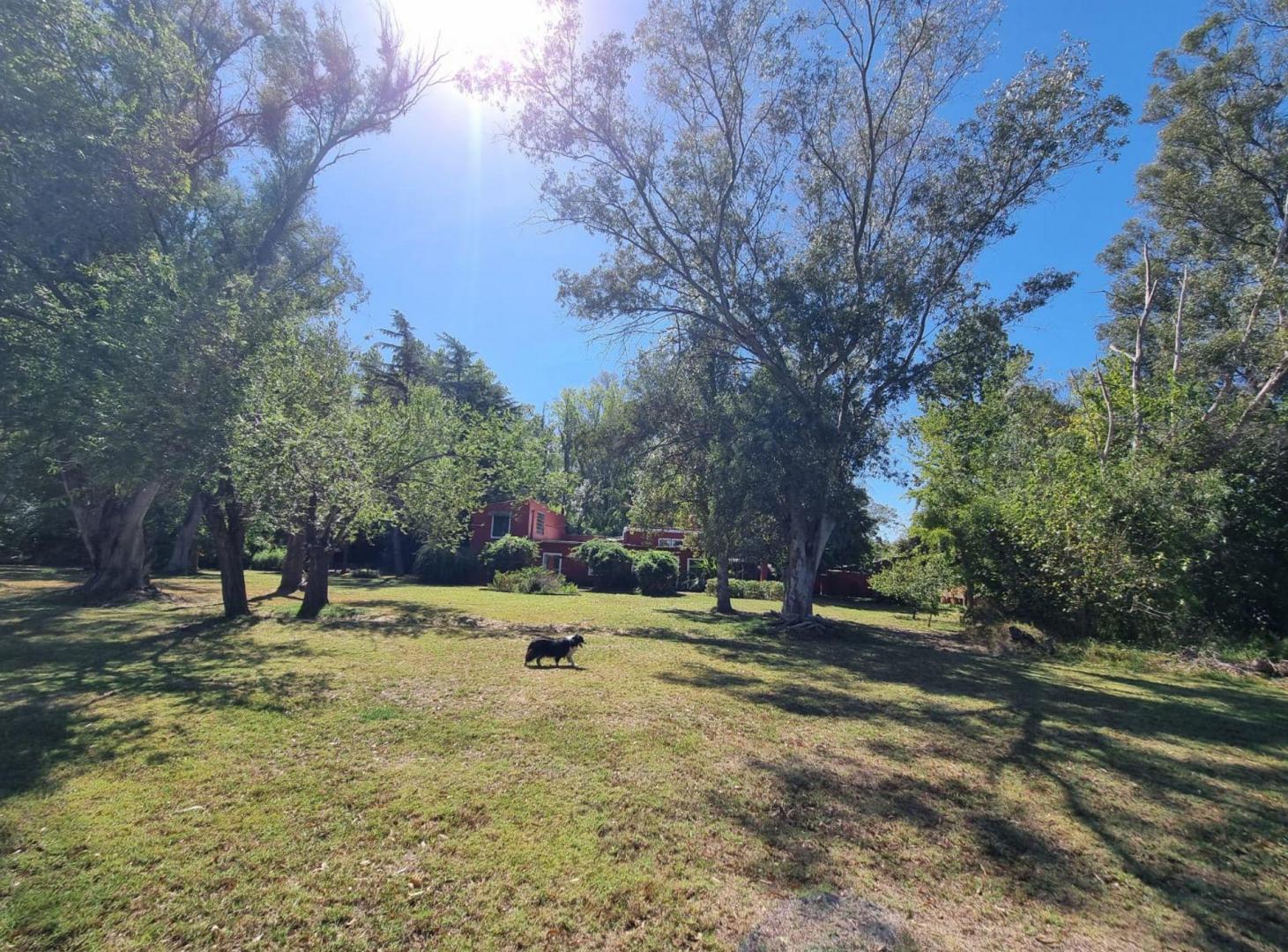 Foto de VENTA CAMPO VILLA RUIZ S A DE GILES RURAL TURISMO, imagen 4