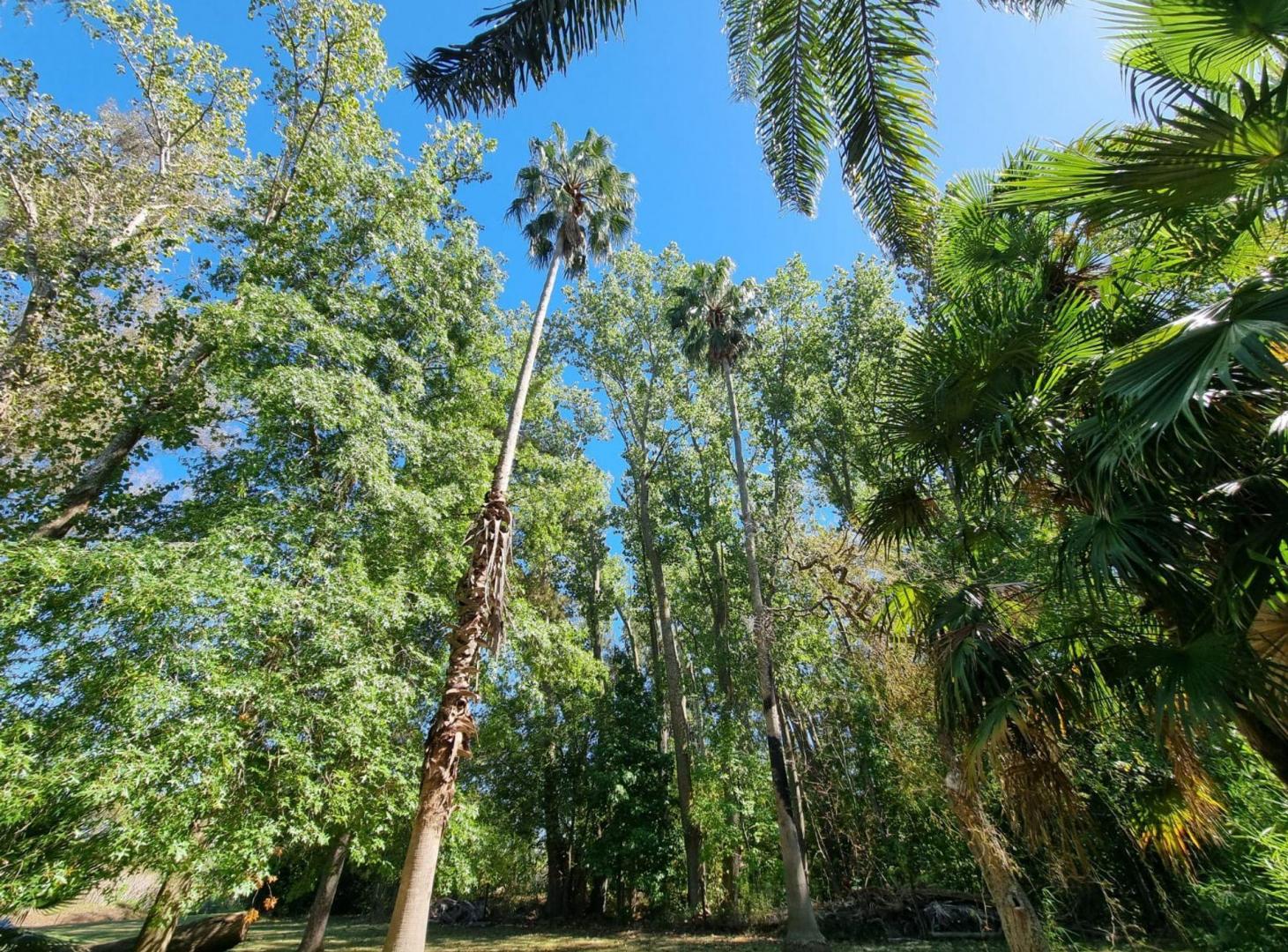 Foto de VENTA CAMPO VILLA RUIZ S A DE GILES RURAL TURISMO, imagen 5