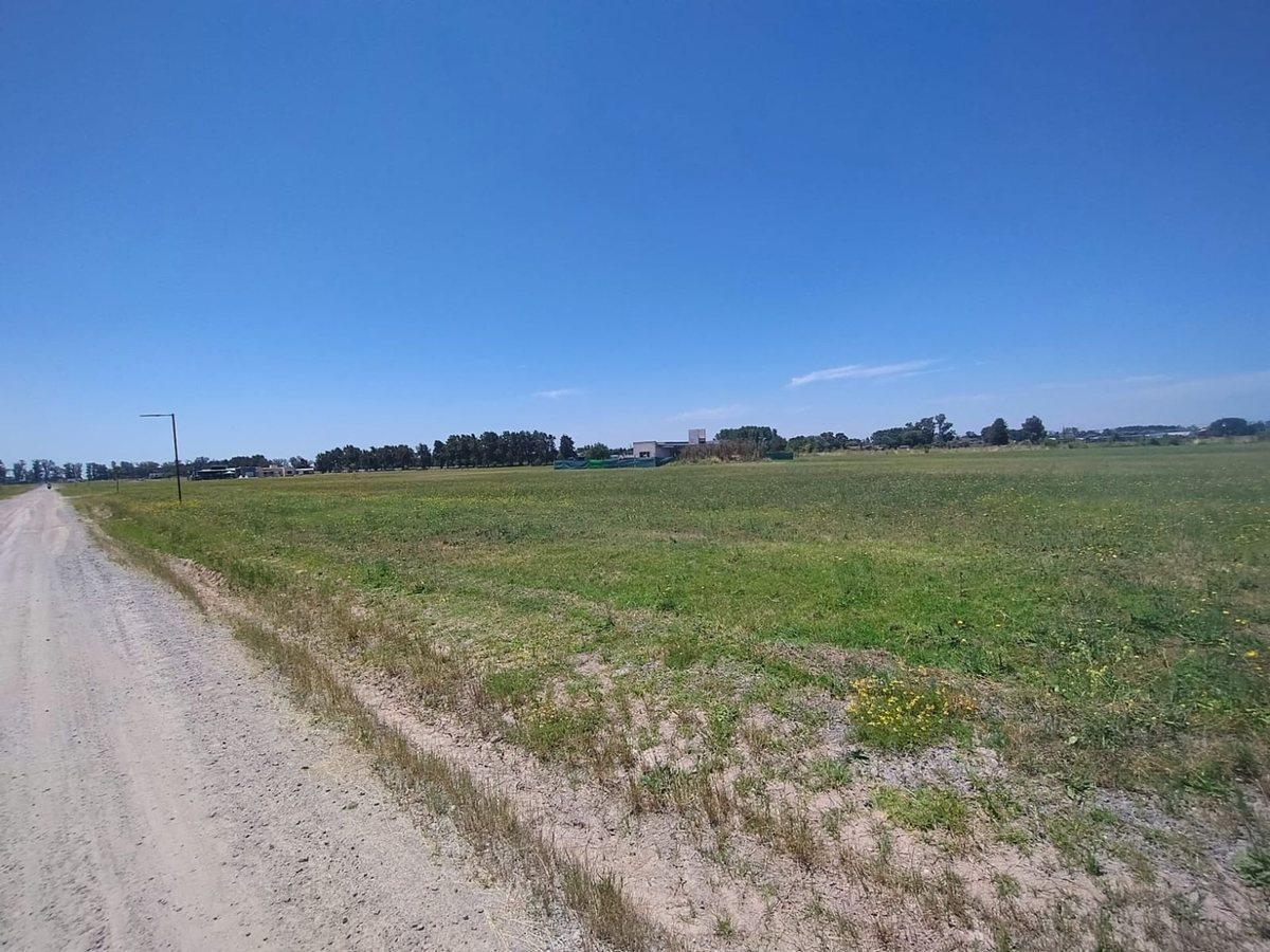 Foto de VENTA 1000 M2 BARRIO POLO TRES PINOS, imagen 4