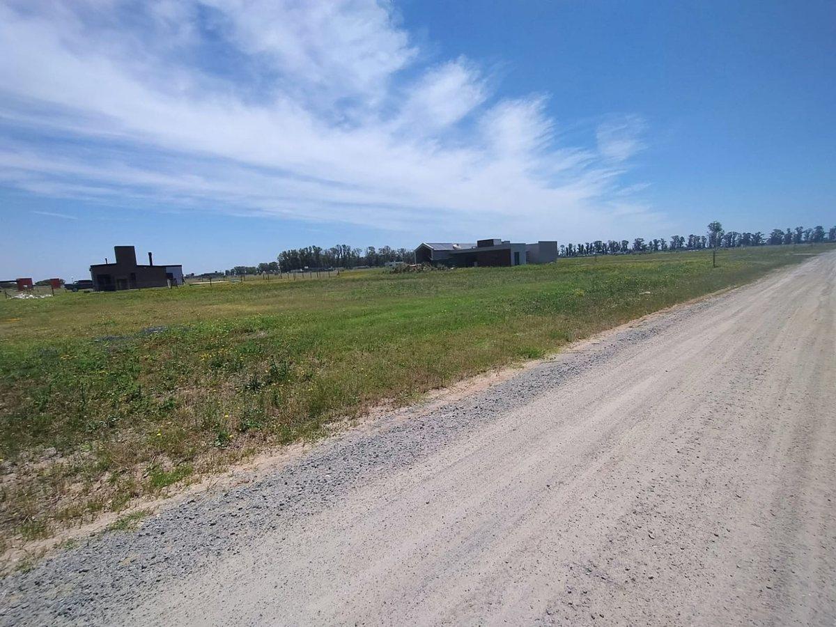 Foto de VENTA 1000 M2 BARRIO POLO TRES PINOS, imagen 3