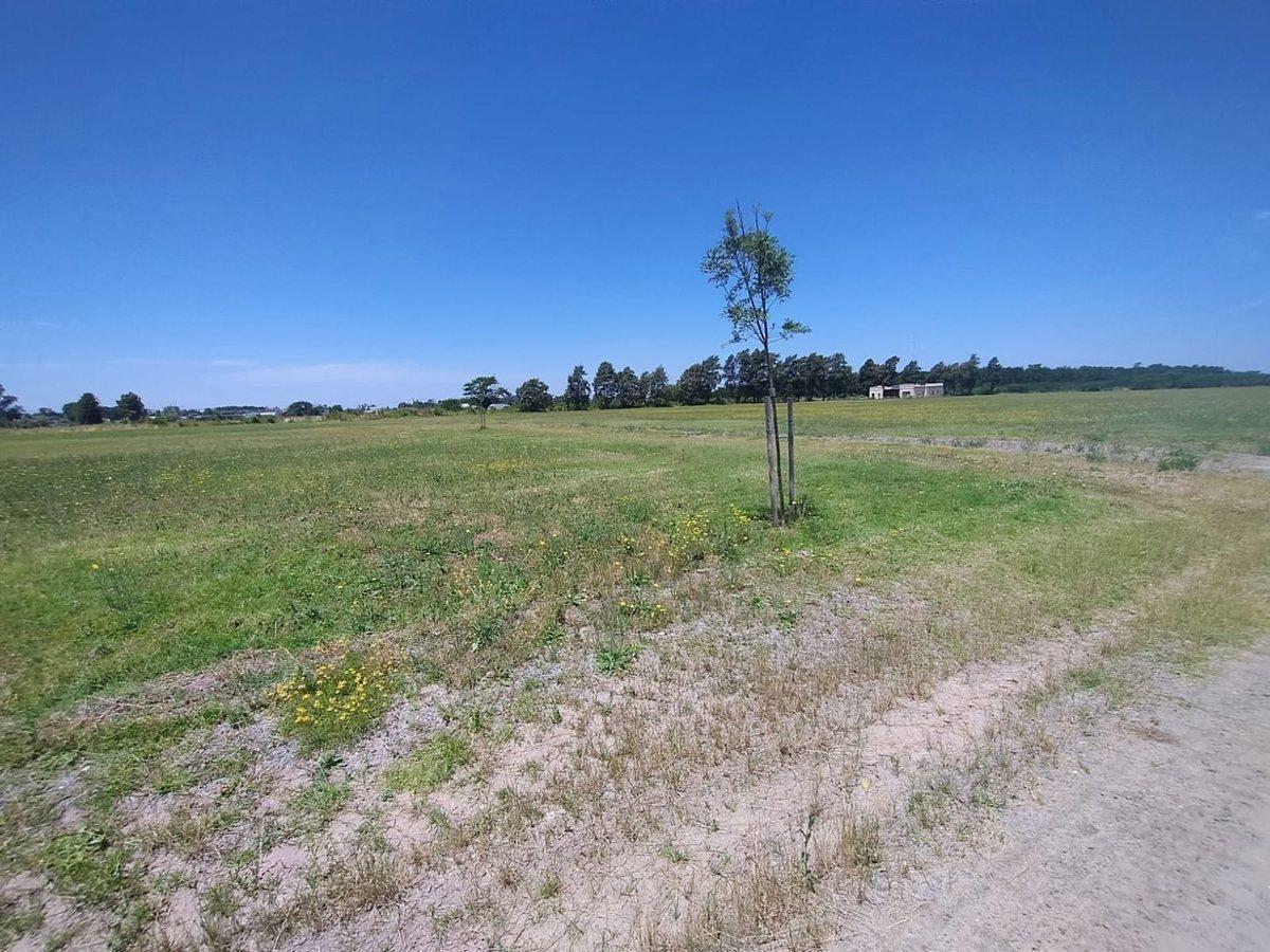 Foto de VENTA 1000 M2 BARRIO POLO TRES PINOS, imagen 5
