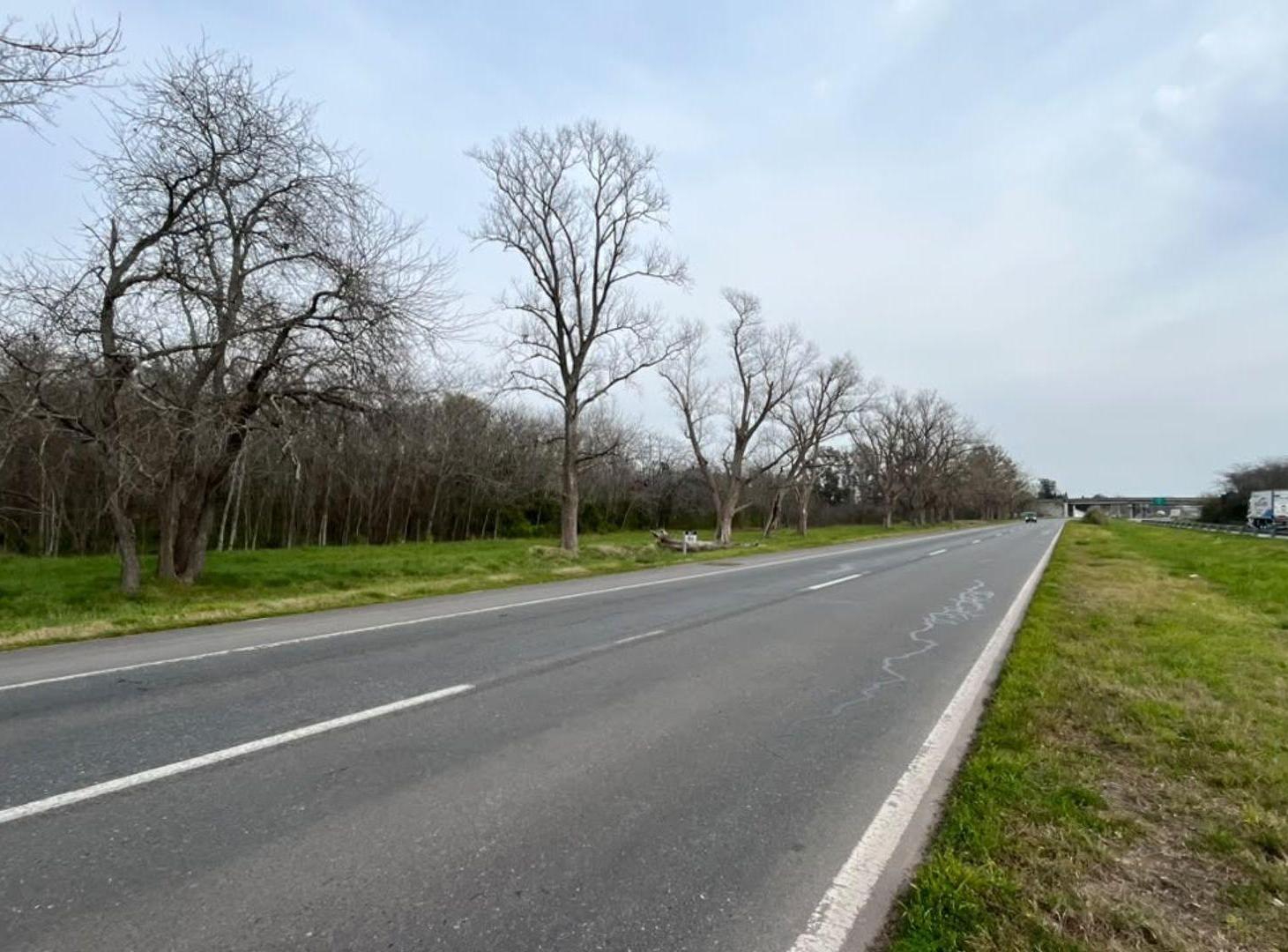 Foto de Campo Venta 4 Hectareas Lujan Ruta 7 KM86, imagen 5
