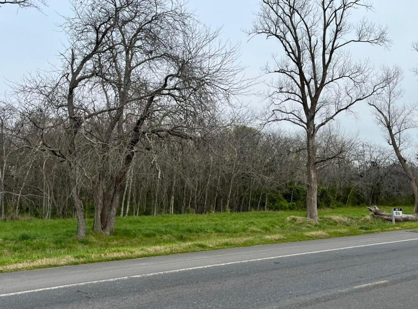 Foto de Campo Venta 4 Hectareas Lujan Ruta 7 KM86, imagen 4