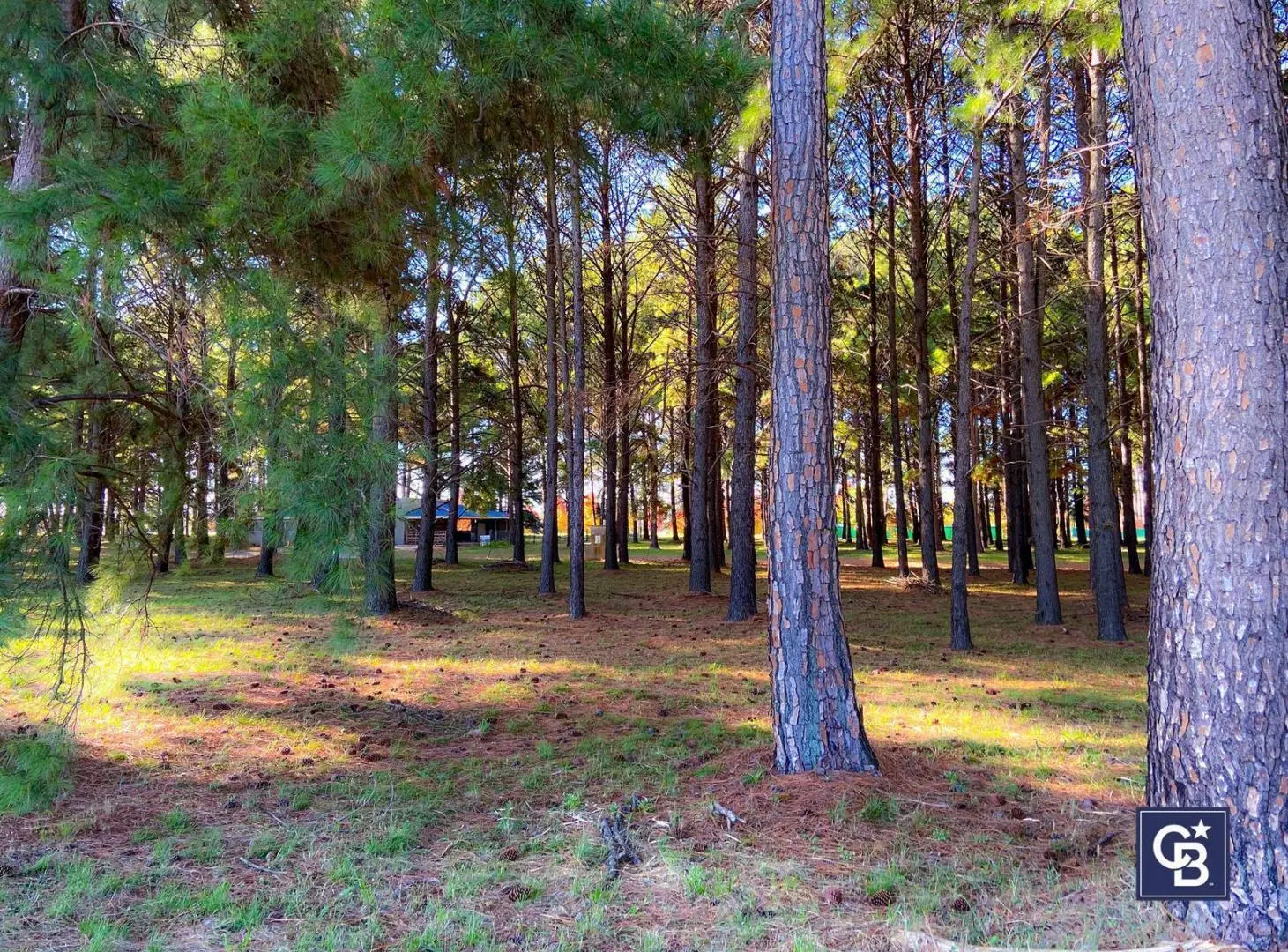 Venta de Lote interno de 1500 mts2 en Los Pinares Country Club - Exaltación de la cruz 3
