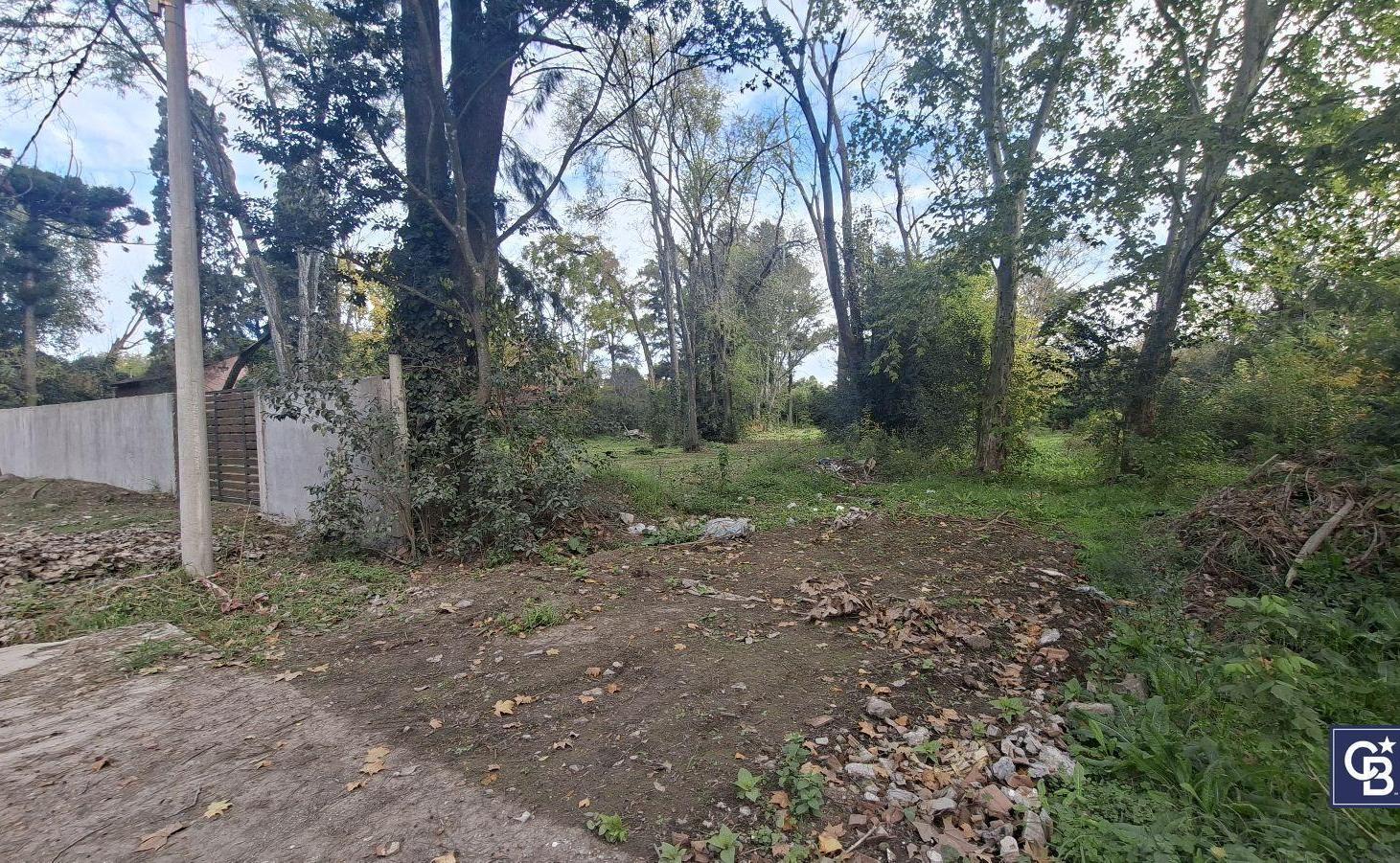 Foto de Venta de Lote 303m² sin expensas a 4 Cuadras de Panamericana en Loma, imagen 5