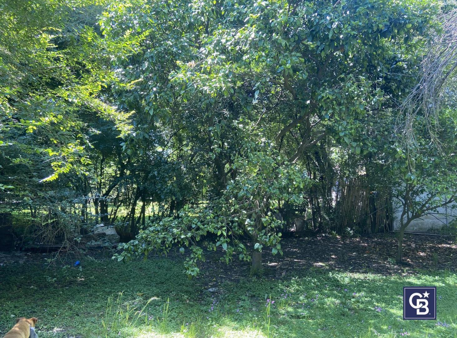 Foto de Venta de lote de 438 mts2 en Rincón de Tortuguitas, imagen 4