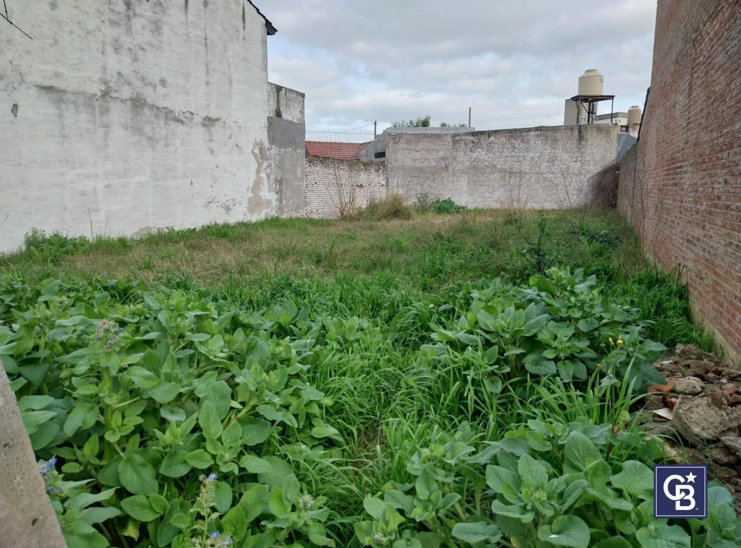 Foto de Oportunidad para Desarrollo Inmobiliario Venta de Lote comercial, imagen 1