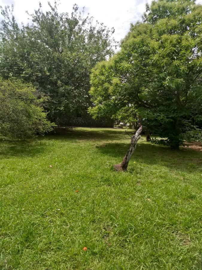 Terreno fraccion venta 9600 m2 con casa arboleda asfalto gas agua Villa Elisa entre caminos
