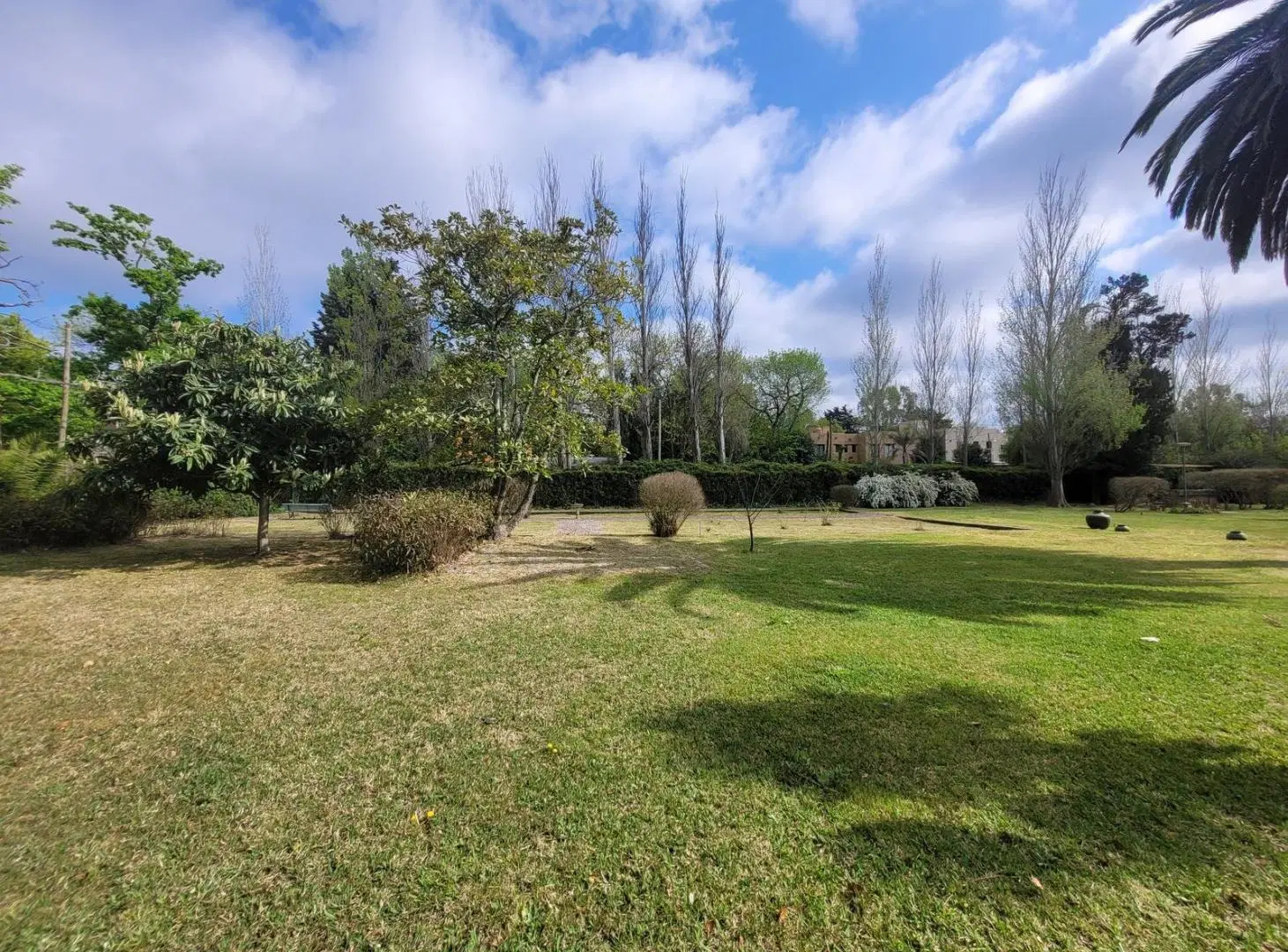 Casa quinta venta Villa Elisa sobre lote 8150 m2 quincho pileta arbolado 5