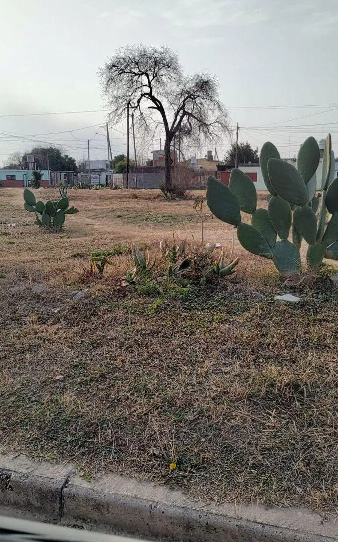 LOTES EN VENTA EXCELENTE OPORTUNIDAD DE INVERSIÓN (Villa Adela, Villa Aspacia) 2