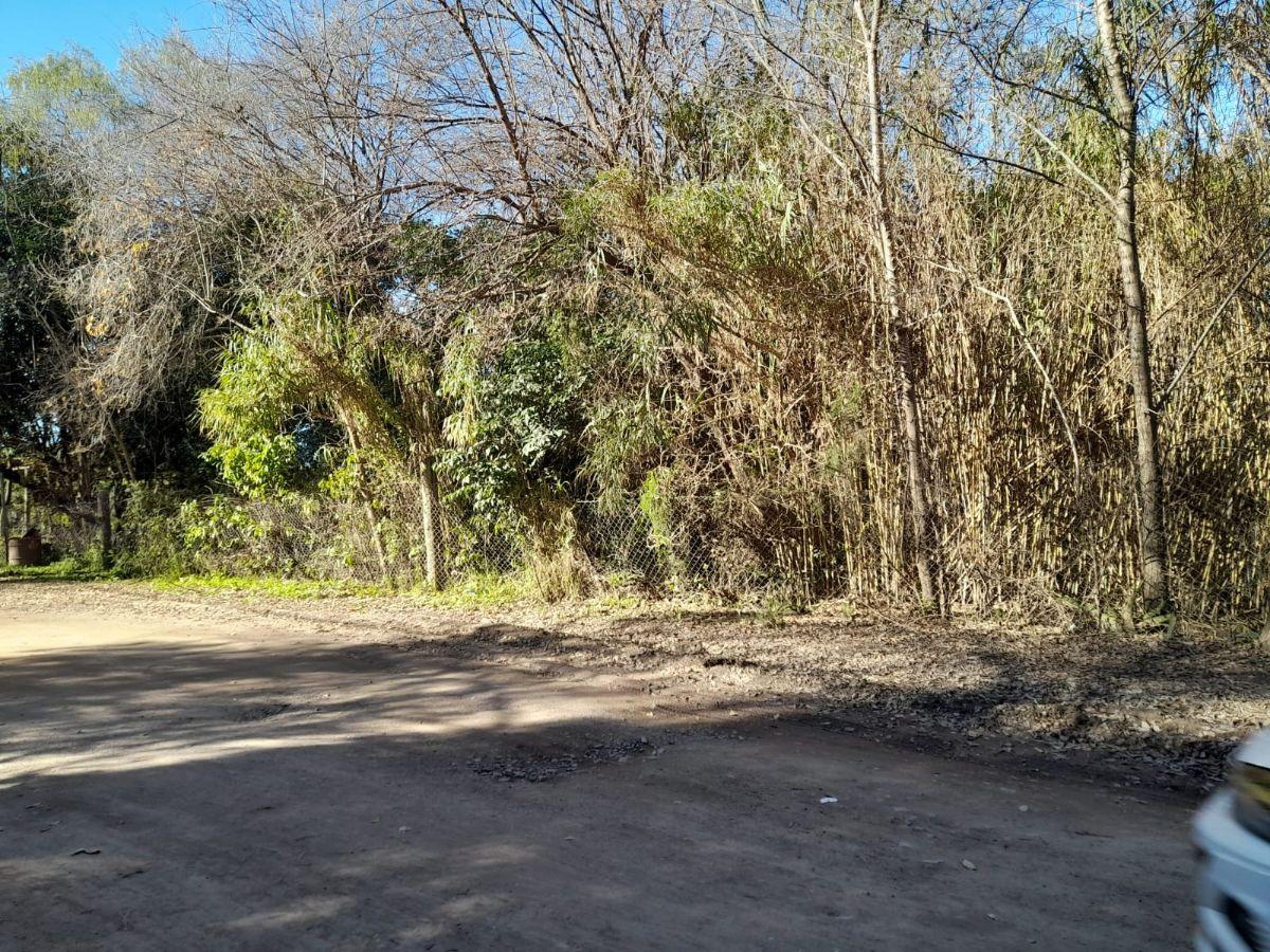 Foto de Terreno en Venta Rio Ceballos, imagen 5