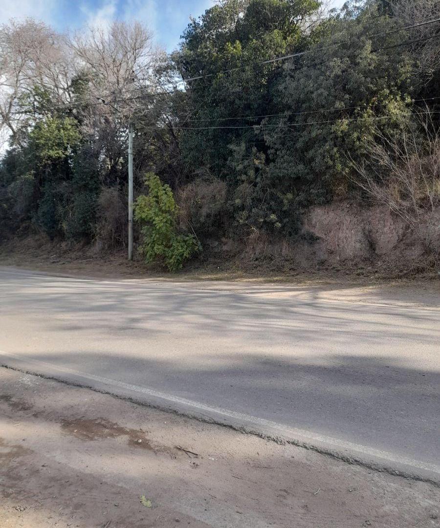 Foto de Terreno en Venta Rio Ceballos, imagen 2