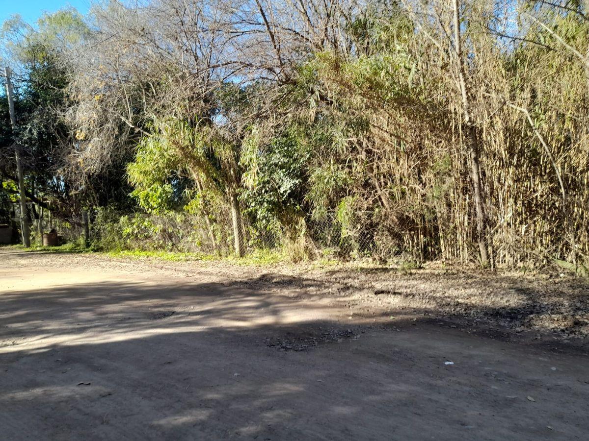 Foto de Terreno en Venta Rio Ceballos, imagen 3