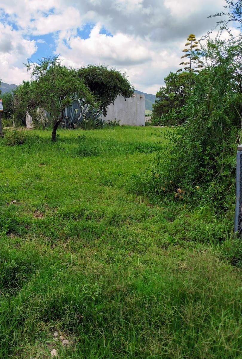 Terreno - Villa Giardino 2