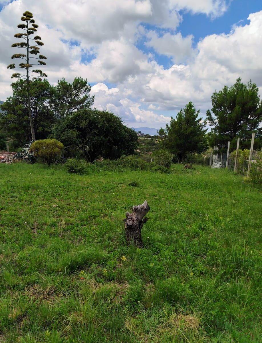 Terreno - Villa Giardino 3