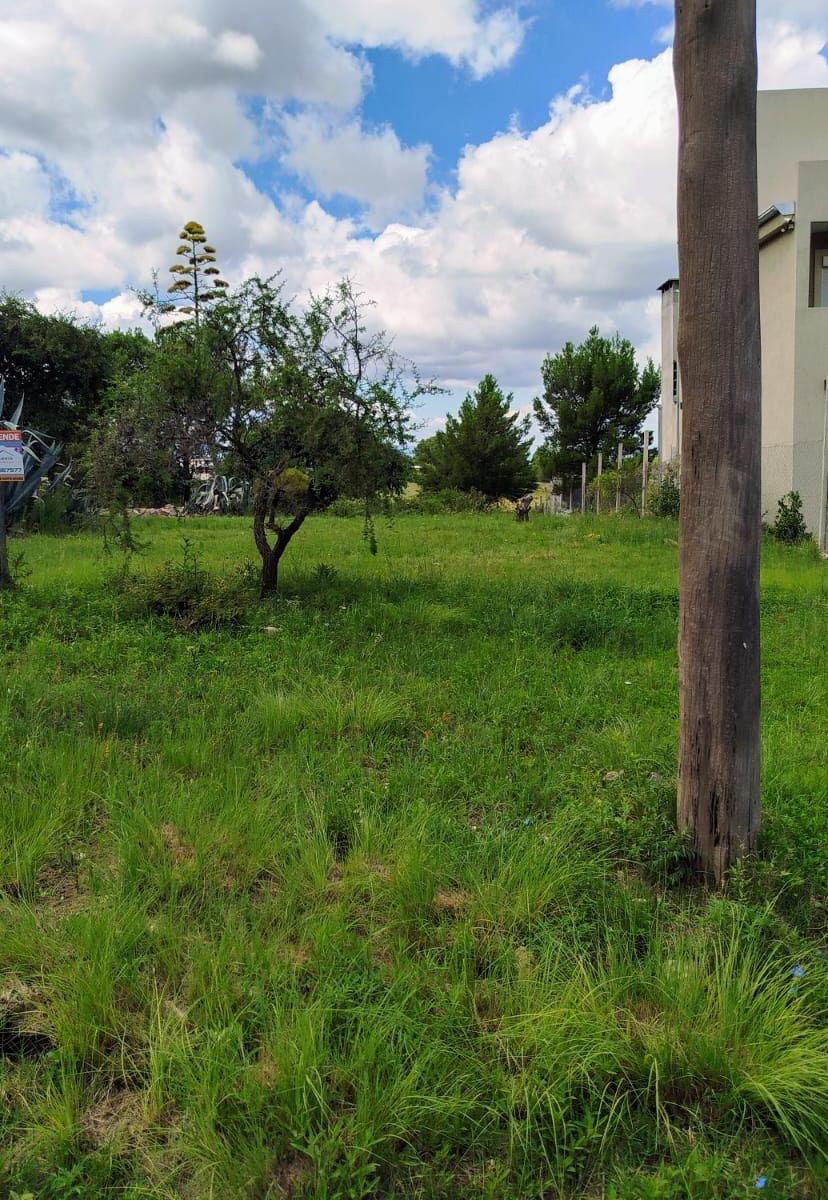 Terreno - Villa Giardino 1