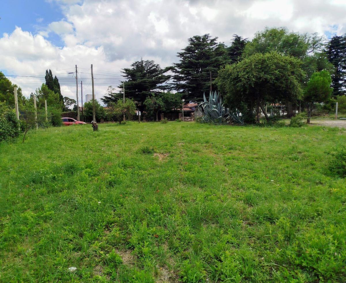 Terreno - Villa Giardino 4