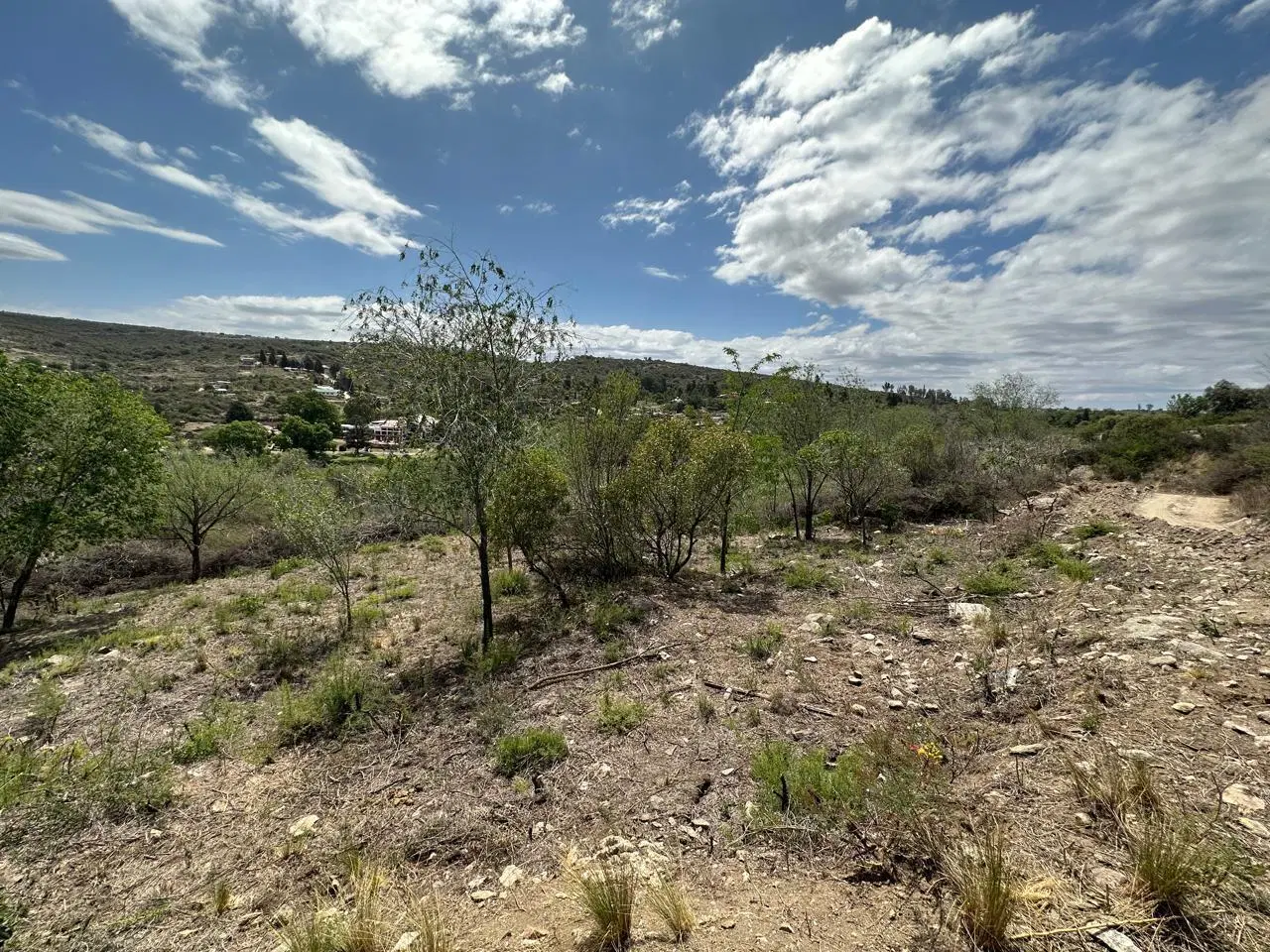 TERRENO EN LA FALDA 3