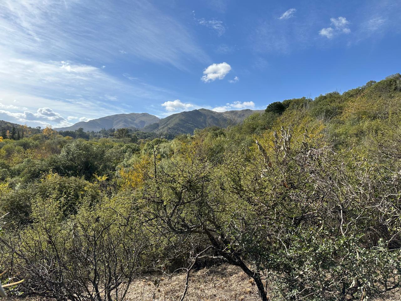 Foto de la propiedad en Terrenos Financiados EN Valle Hermoso, Valle Hermoso