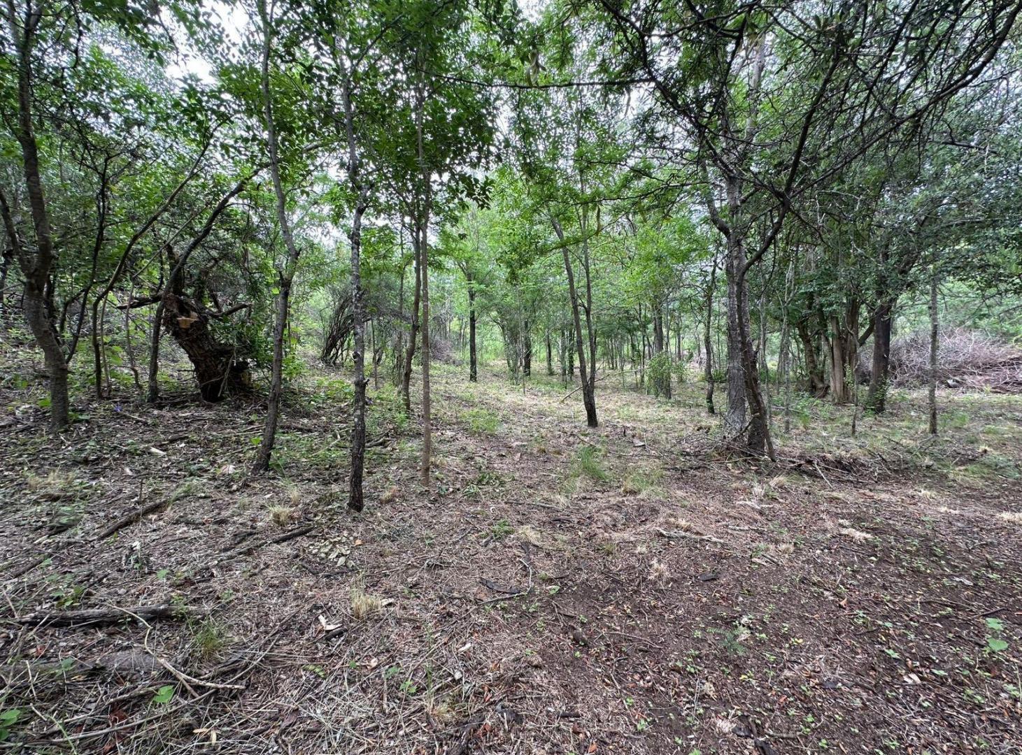 Foto de TERRENO CAMINO DEL CUADRADO VALLE HERMOSO, imagen 1