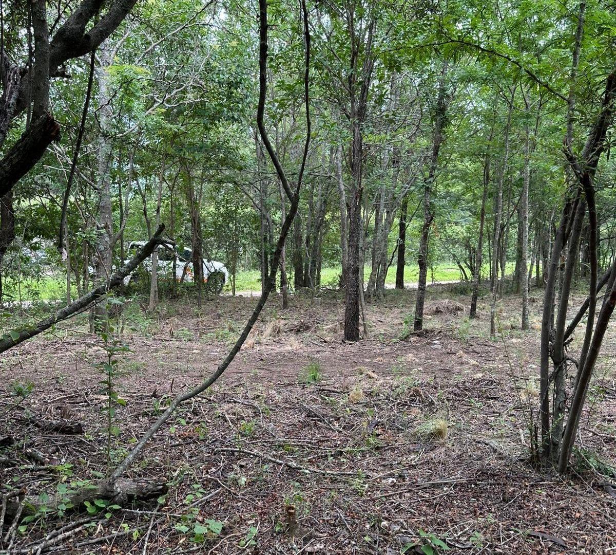 Foto de TERRENO CAMINO DEL CUADRADO VALLE HERMOSO, imagen 5